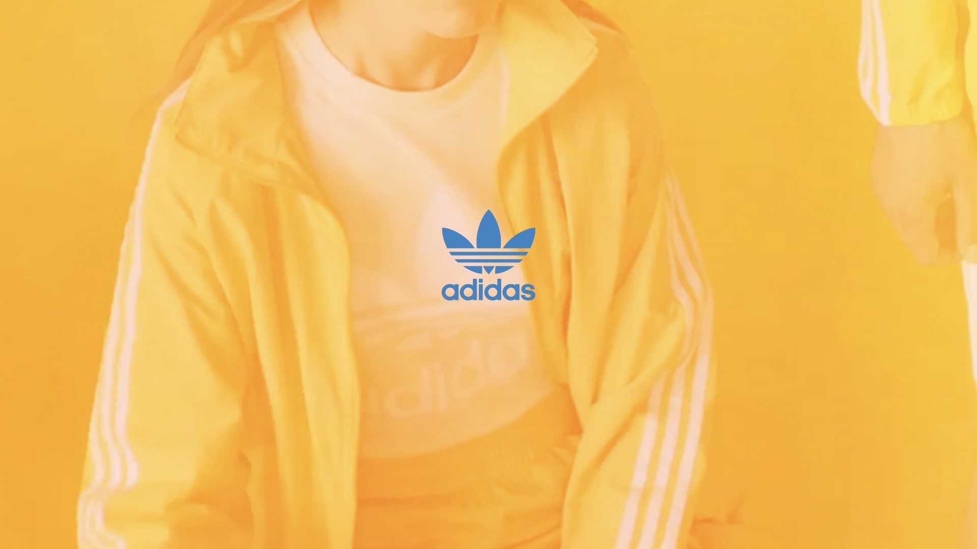 adidas portfolio.029